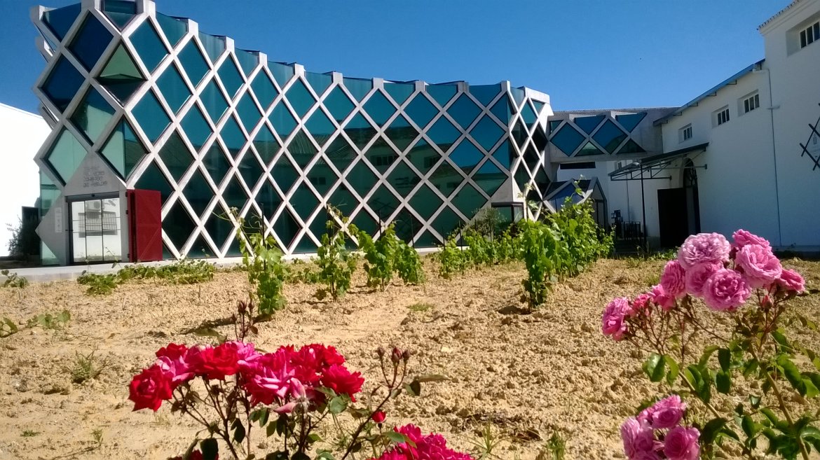 Condado Doñana, patrimonio sostenible